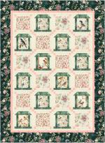 Birds and Bird Feeders